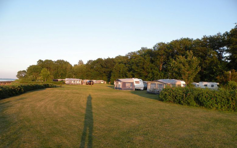 Møllegaardens Camping - Campingpladsen